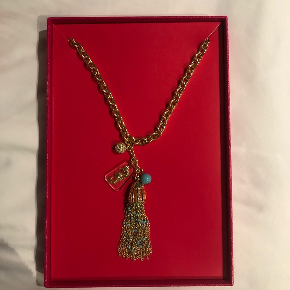 NWT Lily Pulitzer Chain Tassel Necklace
